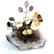 Mix Stones Tree Bonsai Clay Trunk MED Size