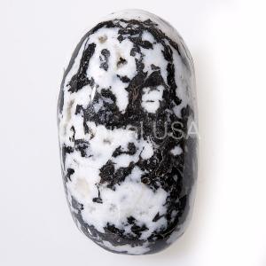 Tree Agate Palm Stone